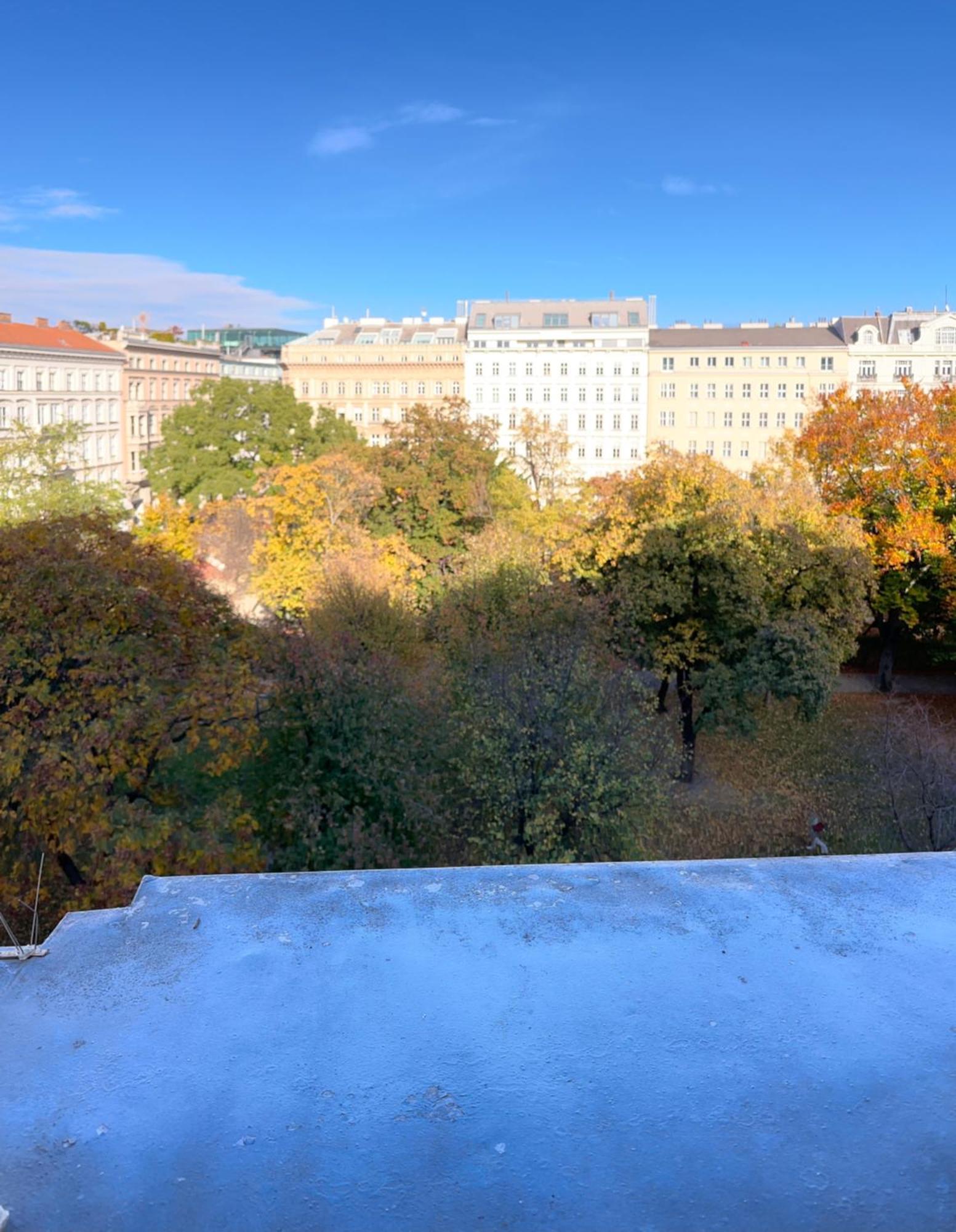 Parkview Rudolfsplatz Apartment